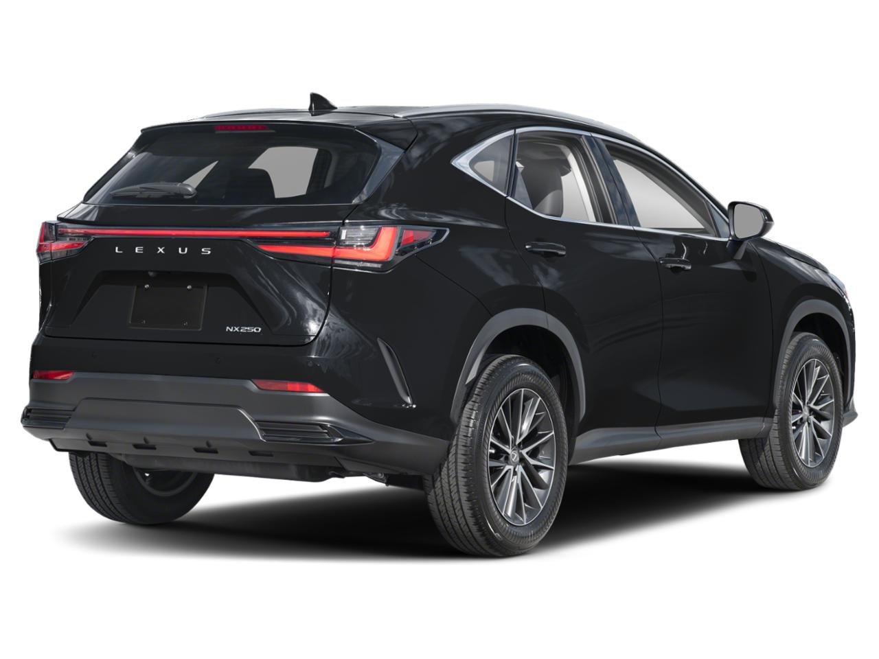 2024 Lexus NX 250 Vehicle Photo in Appleton, WI 54913