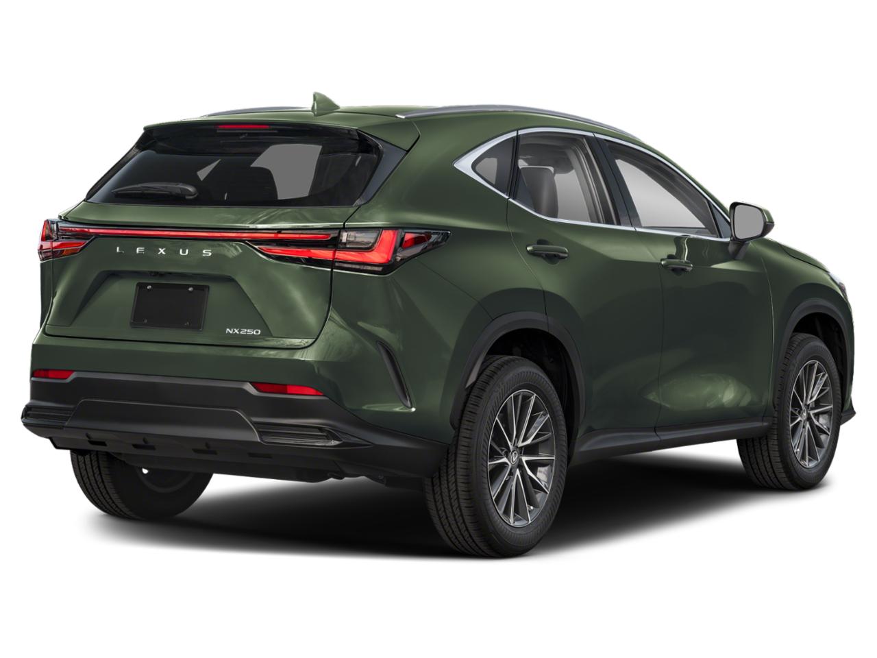 2024 Lexus NX 250 Vehicle Photo in Tampa, FL 33614