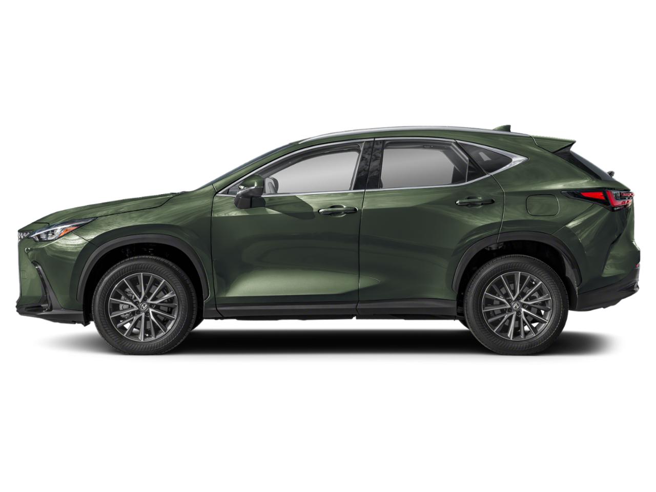 2024 Lexus NX 250 Vehicle Photo in Tampa, FL 33614