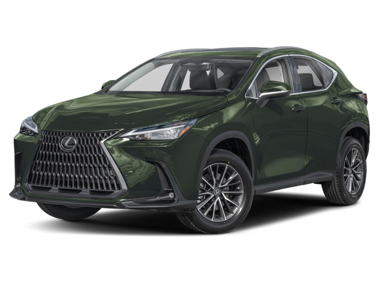 2024 Lexus NX 250 Vehicle Photo in West Palm Beach, FL 33417