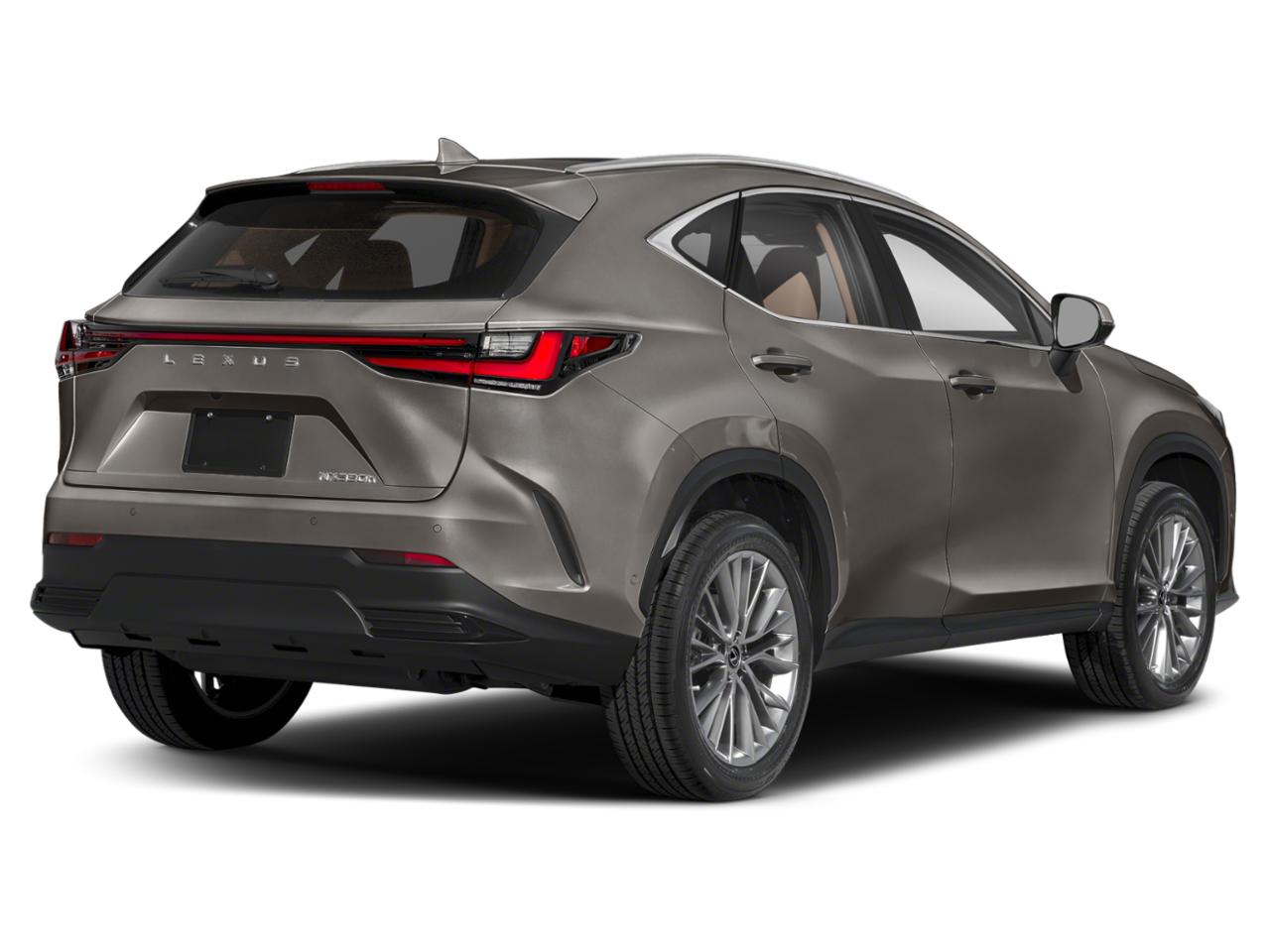 2024 Lexus NX Vehicle Photo in DALLAS, TX 75209