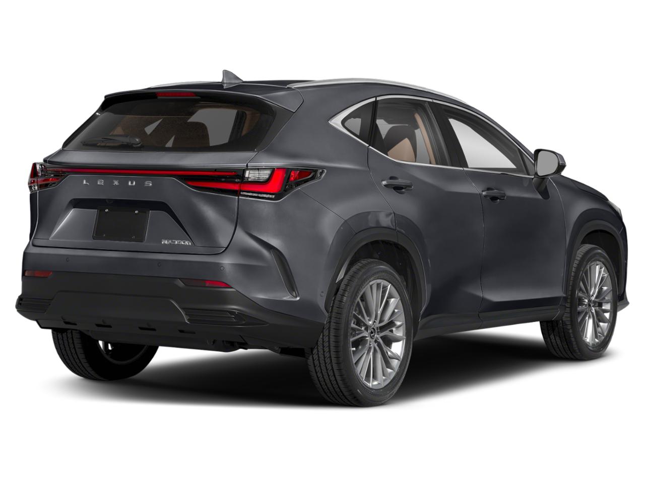 2024 Lexus NX Vehicle Photo in DALLAS, TX 75209