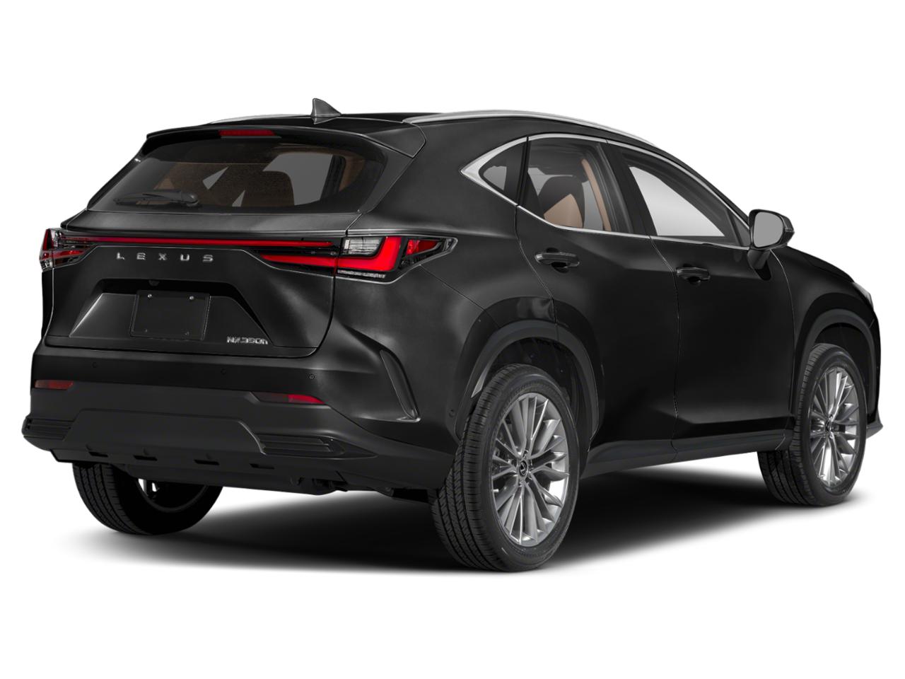 2024 Lexus NX Vehicle Photo in DALLAS, TX 75209