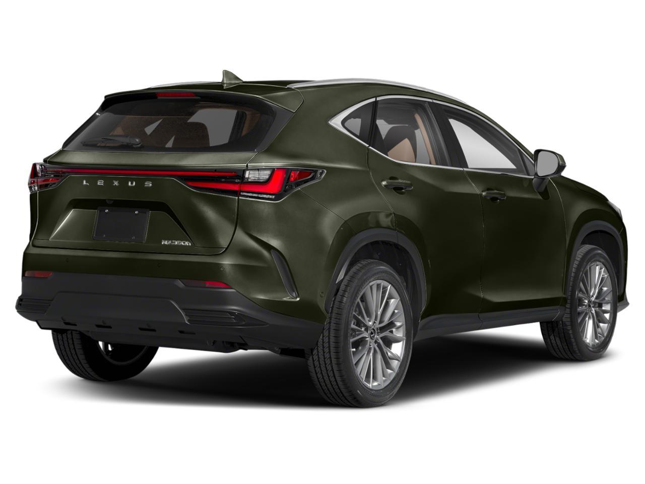 2024 Lexus NX 350h Vehicle Photo in DALLAS, TX 75209