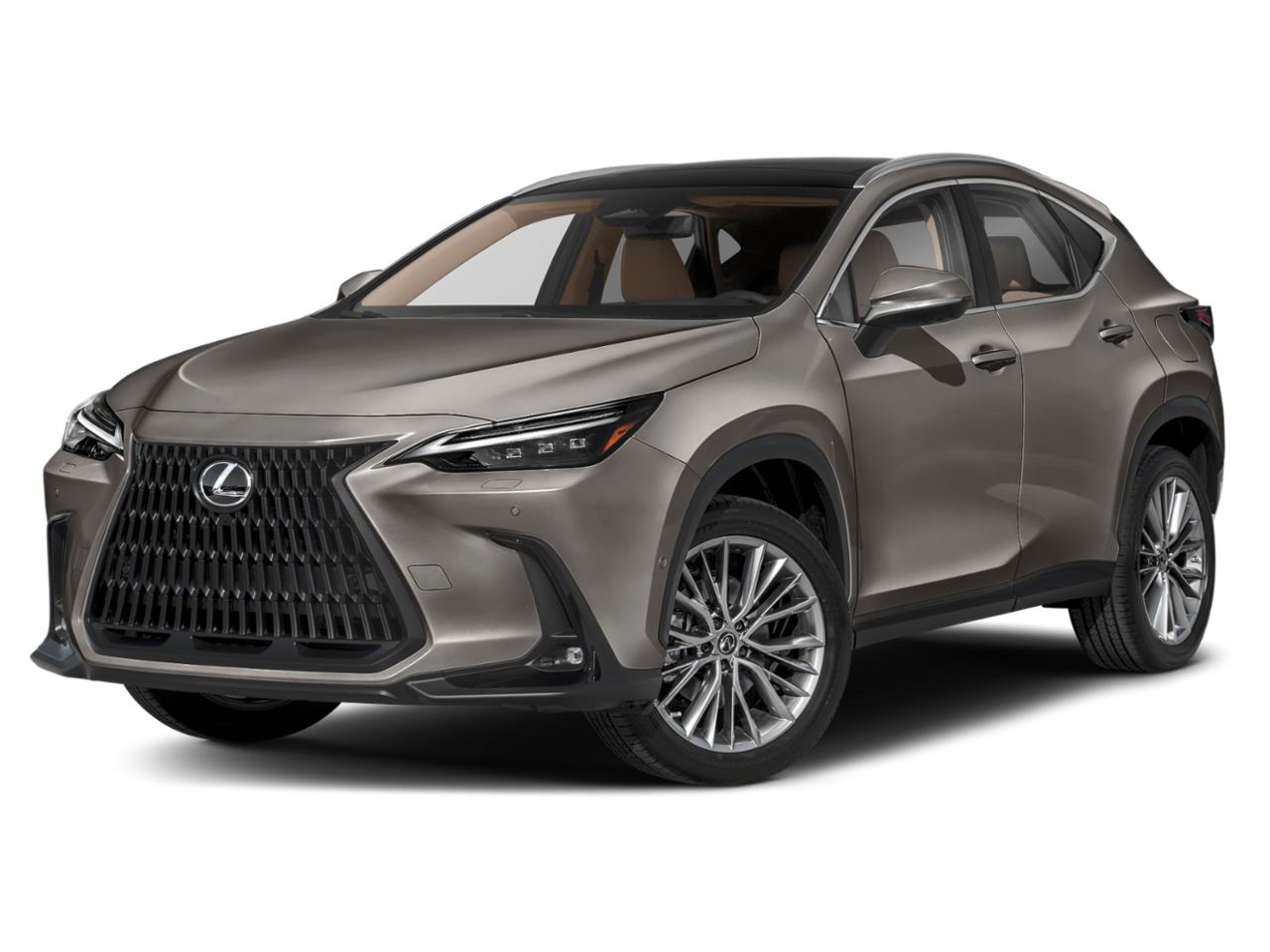 2024 Lexus NX Vehicle Photo in DALLAS, TX 75209