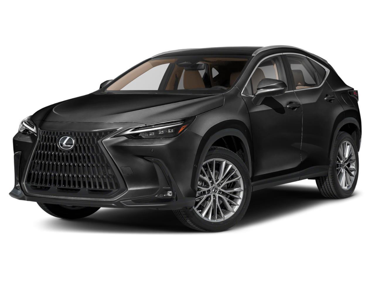 2024 Lexus NX Vehicle Photo in DALLAS, TX 75209