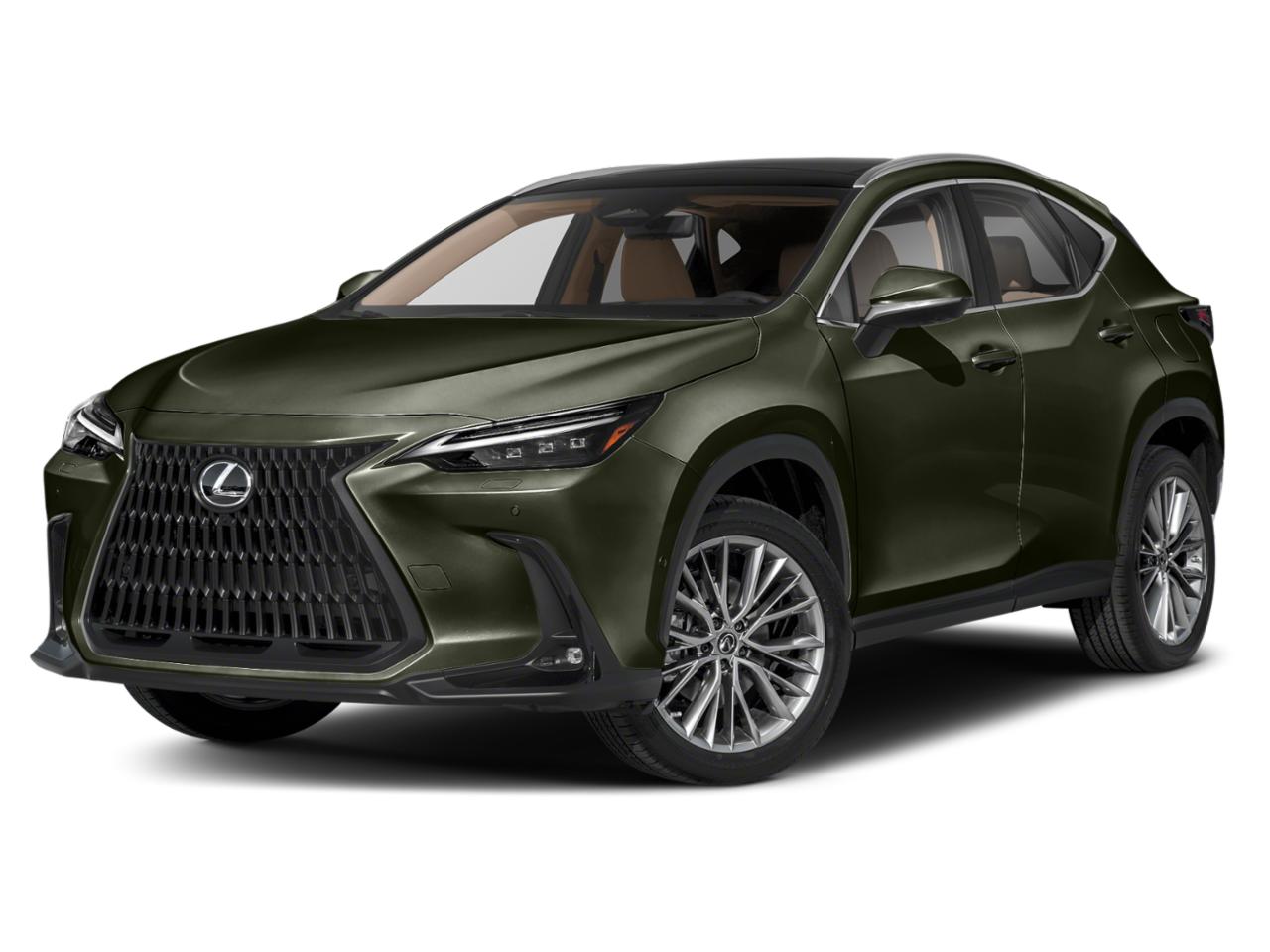 2024 Lexus NX 350h Vehicle Photo in DALLAS, TX 75209