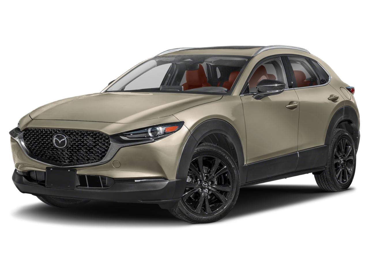 2024 Mazda CX-30 Vehicle Photo in Appleton, WI 54913