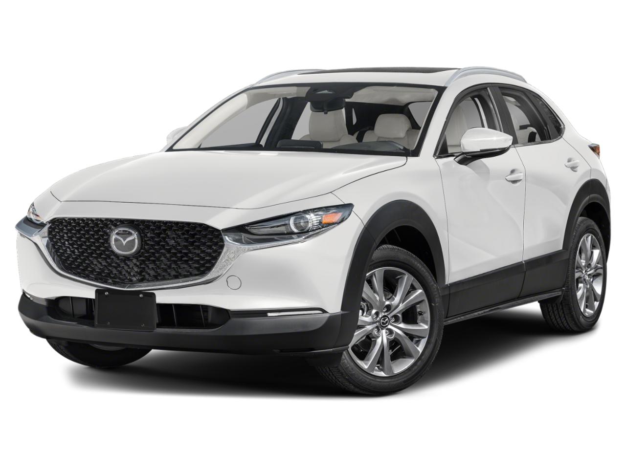 2024 Mazda CX-30 Vehicle Photo in Green Bay, WI 54304