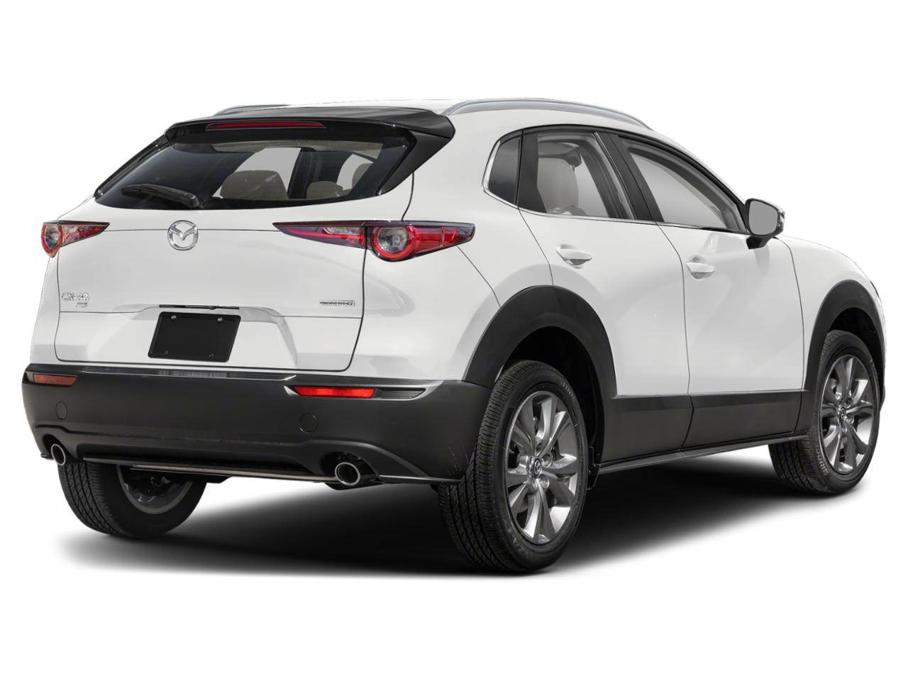 2024 Mazda CX-30 Vehicle Photo in Green Bay, WI 54304