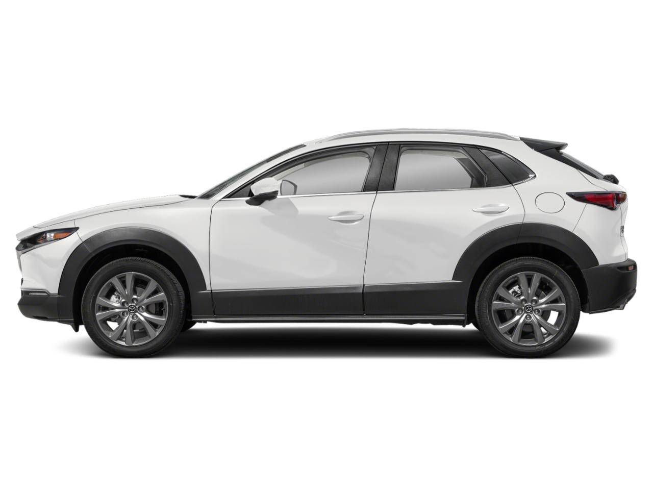 2024 Mazda CX-30 Vehicle Photo in Green Bay, WI 54304