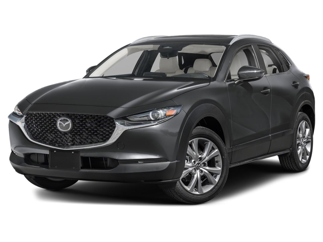 2024 Mazda CX-30 Vehicle Photo in Green Bay, WI 54304