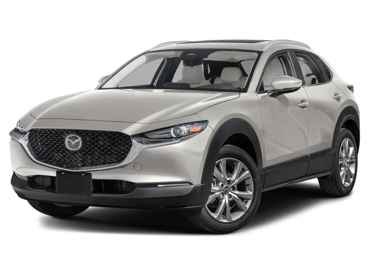 2024 Mazda CX-30 Vehicle Photo in Appleton, WI 54913