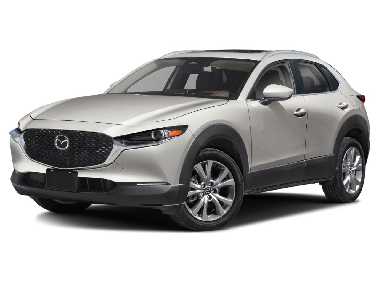 2024 Mazda CX-30 Vehicle Photo in Clearwater, FL 33764