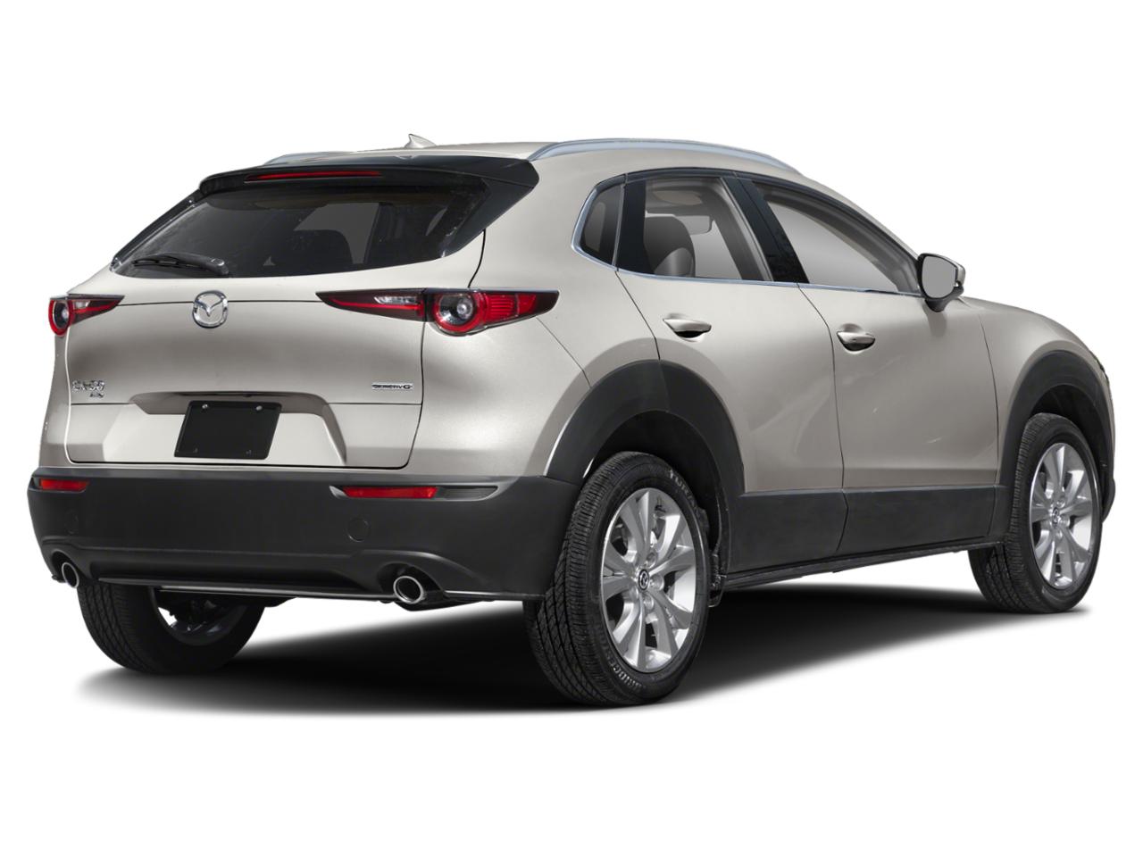 2024 Mazda CX-30 Vehicle Photo in Clearwater, FL 33764