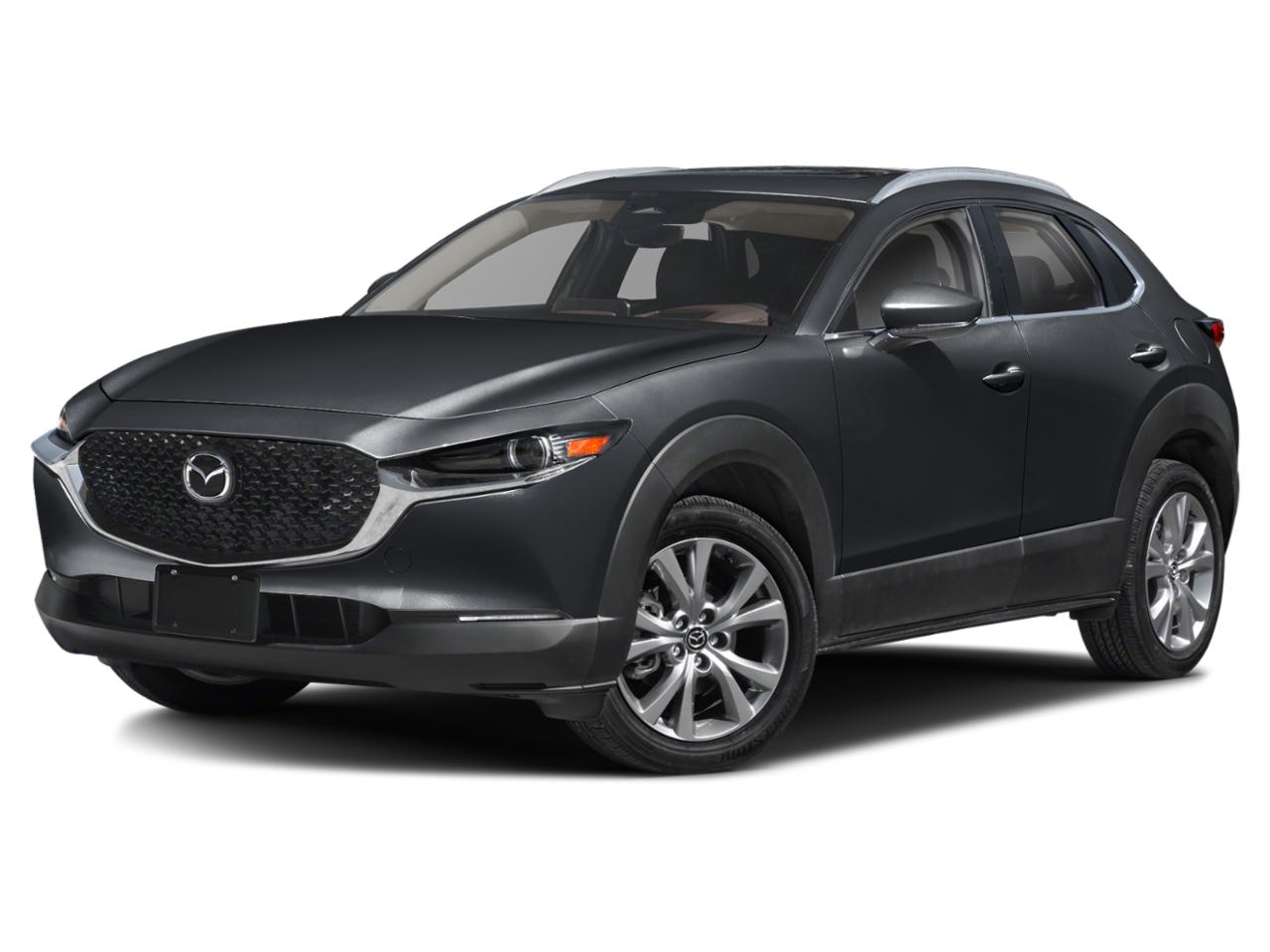 2024 Mazda CX-30 Vehicle Photo in Appleton, WI 54913