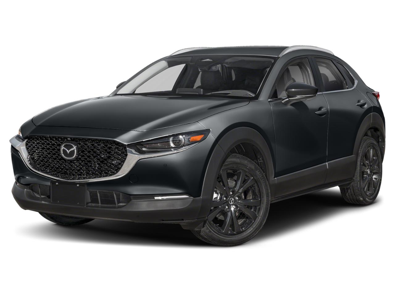 2024 Mazda CX-30 Vehicle Photo in Green Bay, WI 54304