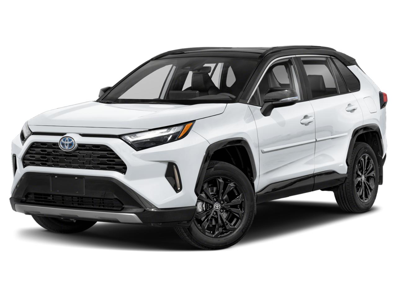 2024 Toyota RAV4 Vehicle Photo in Clearwater, FL 33764