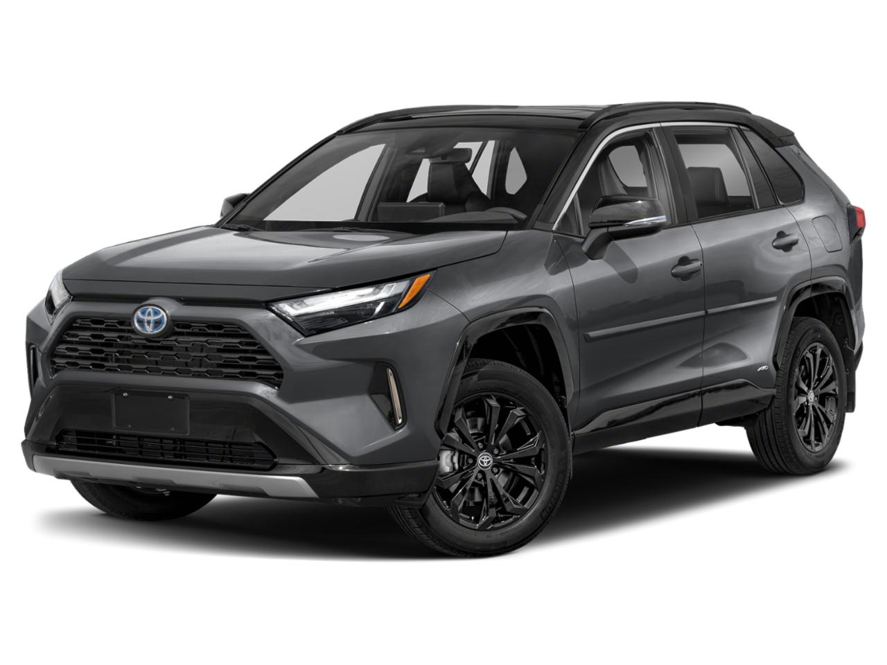 2024 Toyota RAV4 Vehicle Photo in SELMA, TX 78154-1459