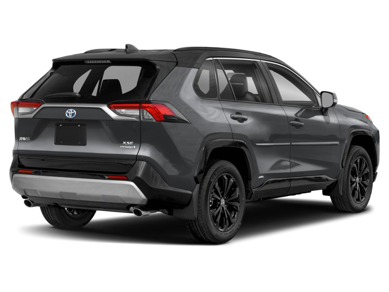 2024 Toyota RAV4 Vehicle Photo in SELMA, TX 78154-1459