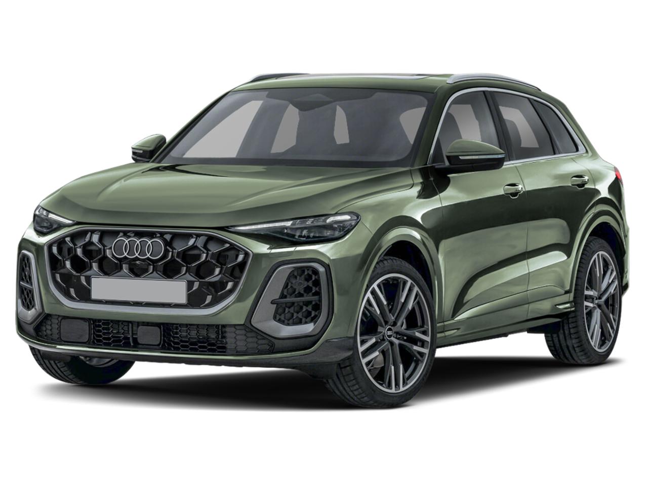 2025 Audi Q5 Vehicle Photo in Appleton, WI 54913