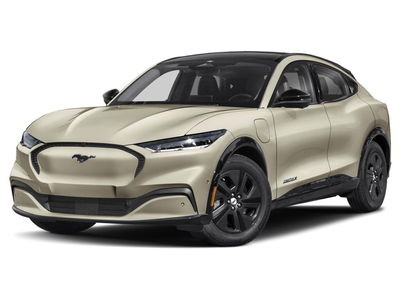 2025 Ford Mustang Mach-E Vehicle Photo in Weatherford, TX 76087