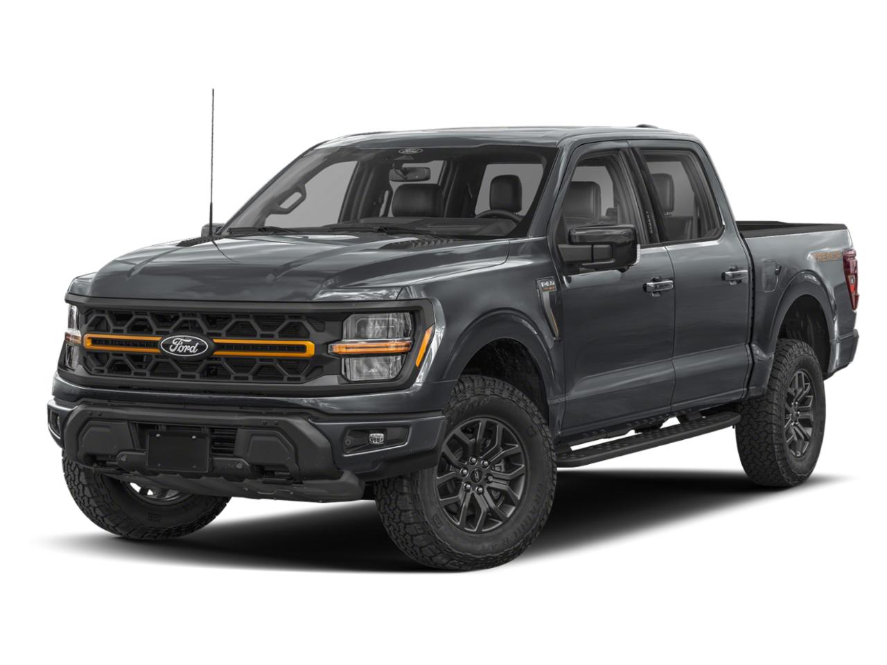 2025 Ford F-150 Vehicle Photo in Weatherford, TX 76087