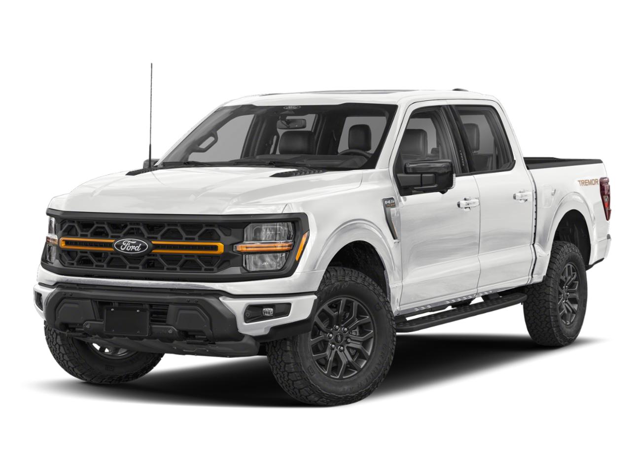 2025 Ford F-150 Vehicle Photo in Ogallala, NE 69153
