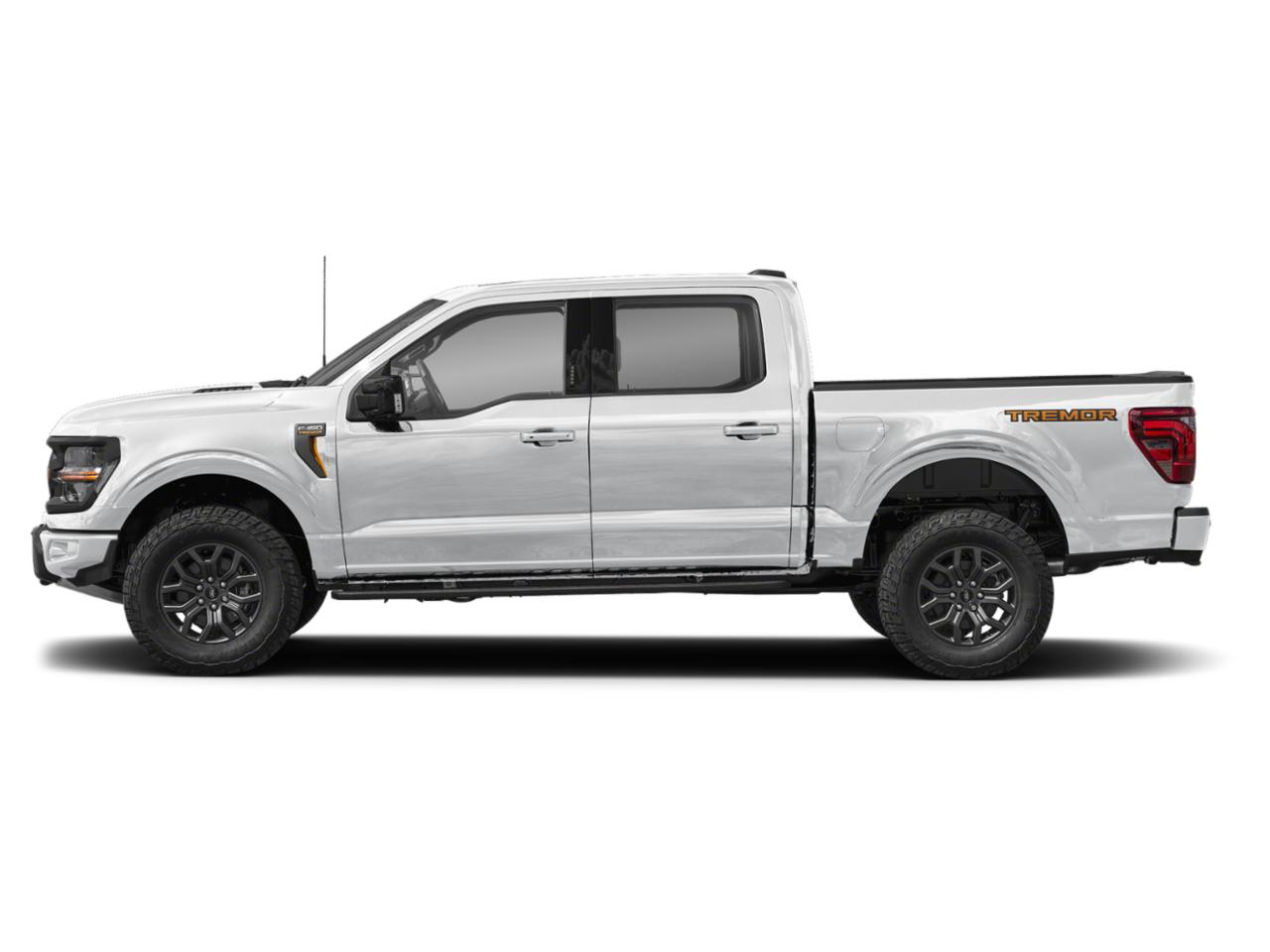 2025 Ford F-150 Vehicle Photo in Weatherford, TX 76087