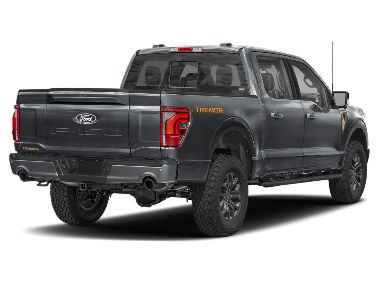 2025 Ford F-150 Vehicle Photo in Weatherford, TX 76087