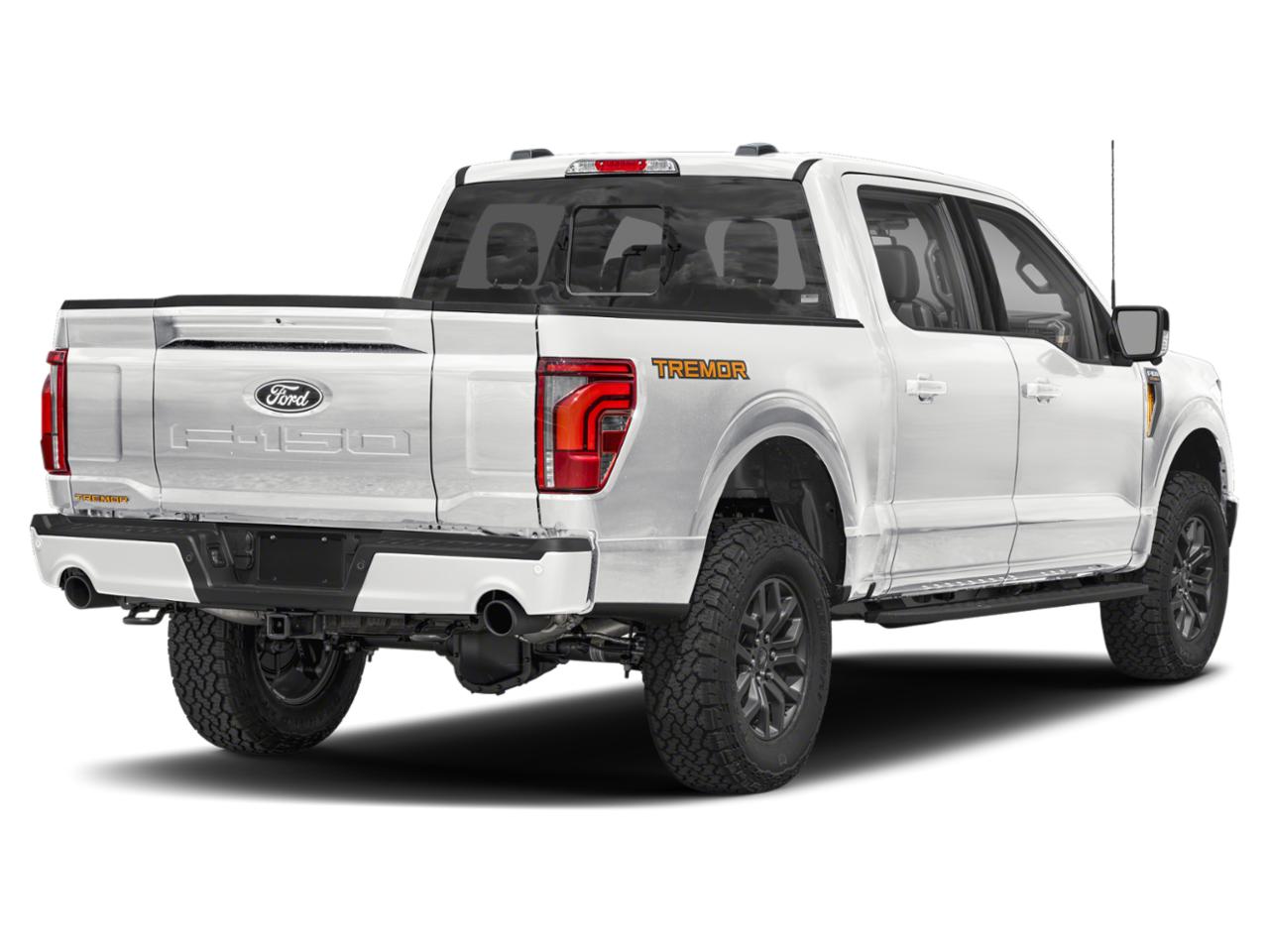 2025 Ford F-150 Vehicle Photo in Ogallala, NE 69153