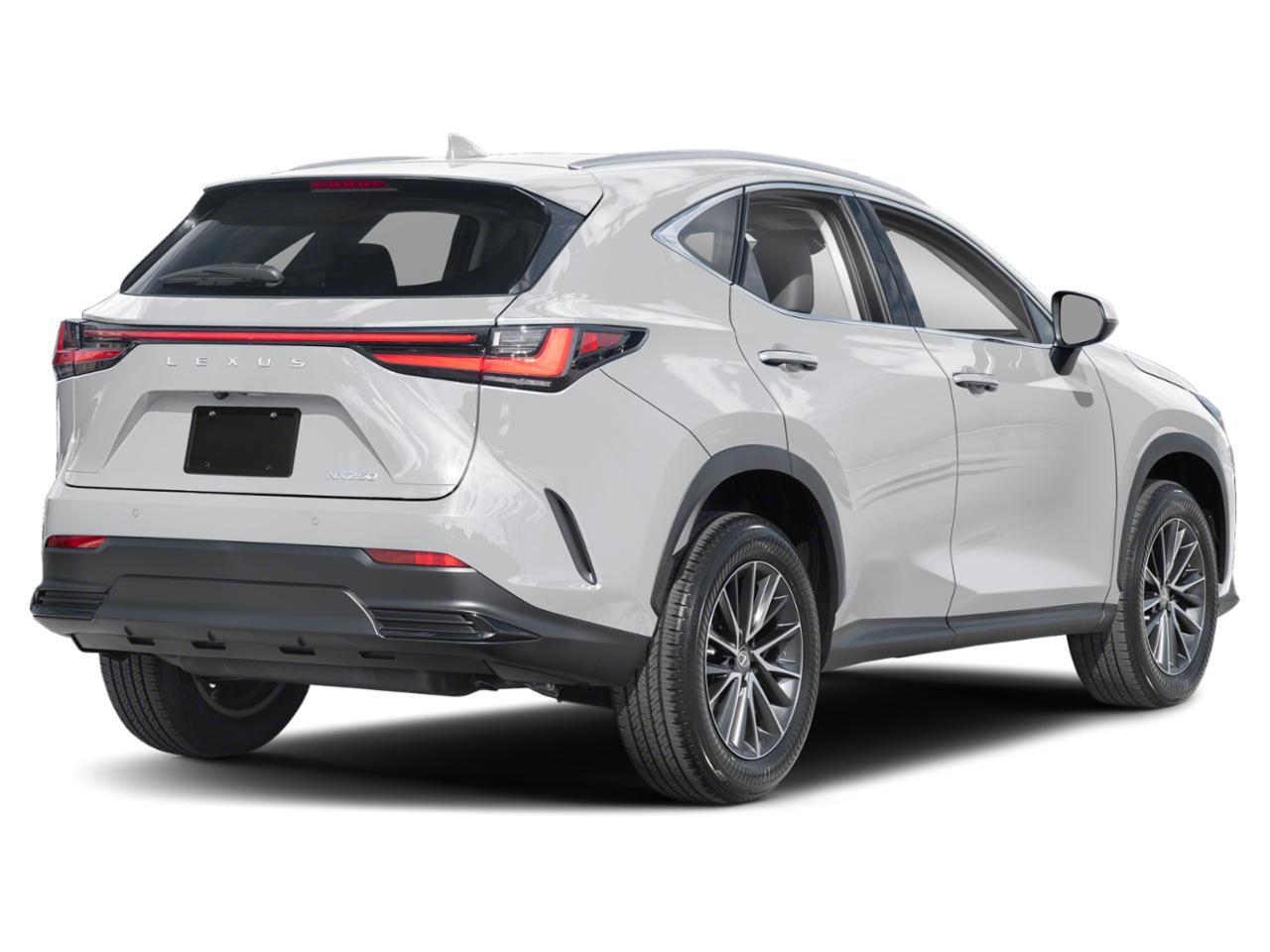 2025 Lexus NX 250 Vehicle Photo in DALLAS, TX 75209