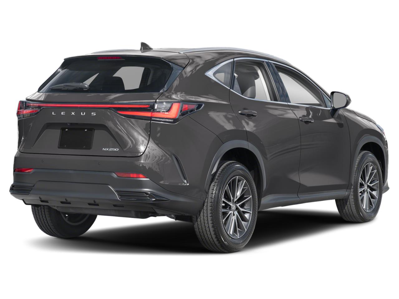 2025 Lexus NX 250 Vehicle Photo in DALLAS, TX 75209