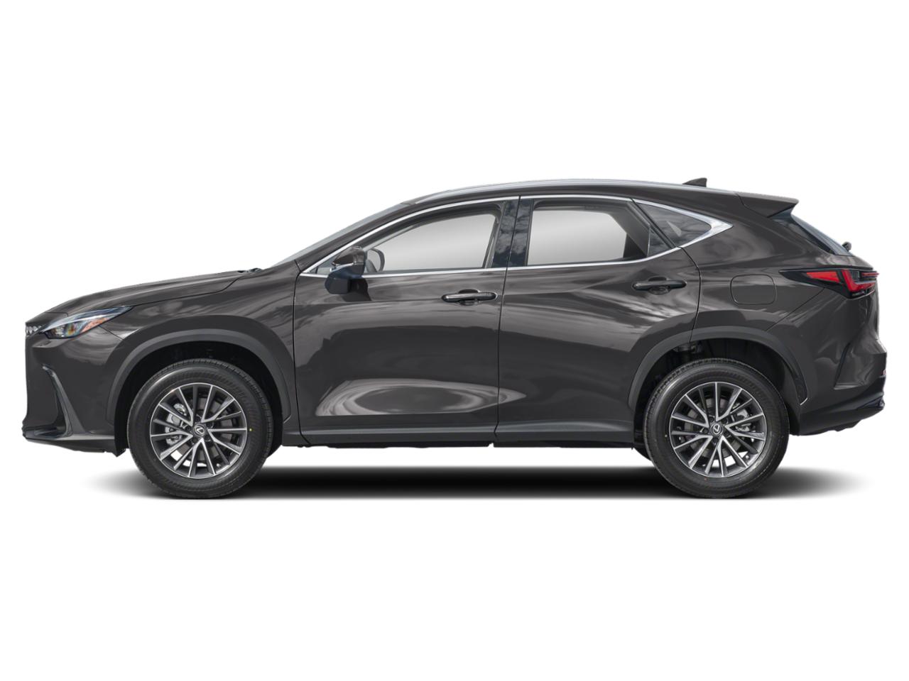 2025 Lexus NX 250 Vehicle Photo in DALLAS, TX 75209