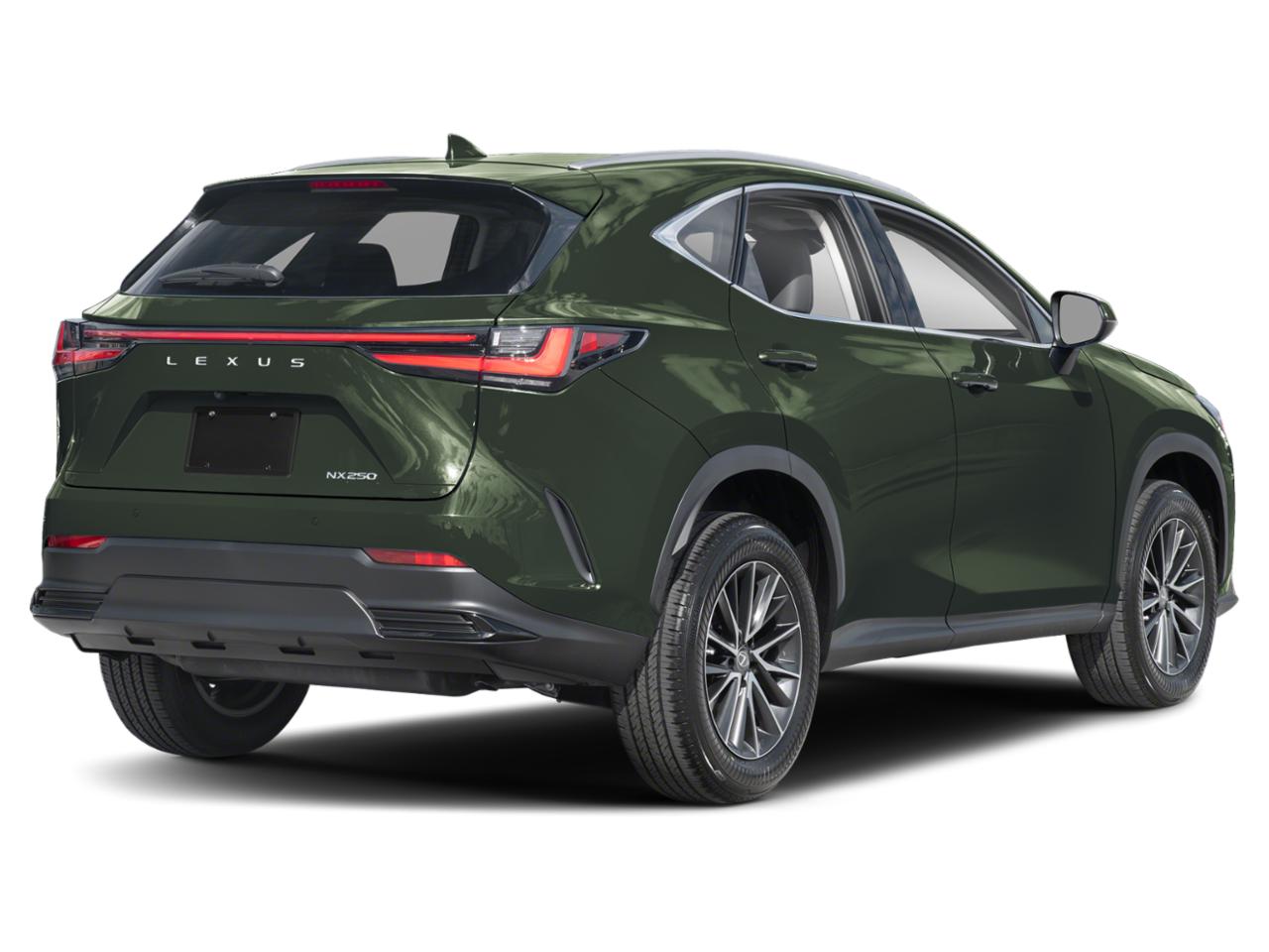 2025 Lexus NX 250 Vehicle Photo in DALLAS, TX 75209