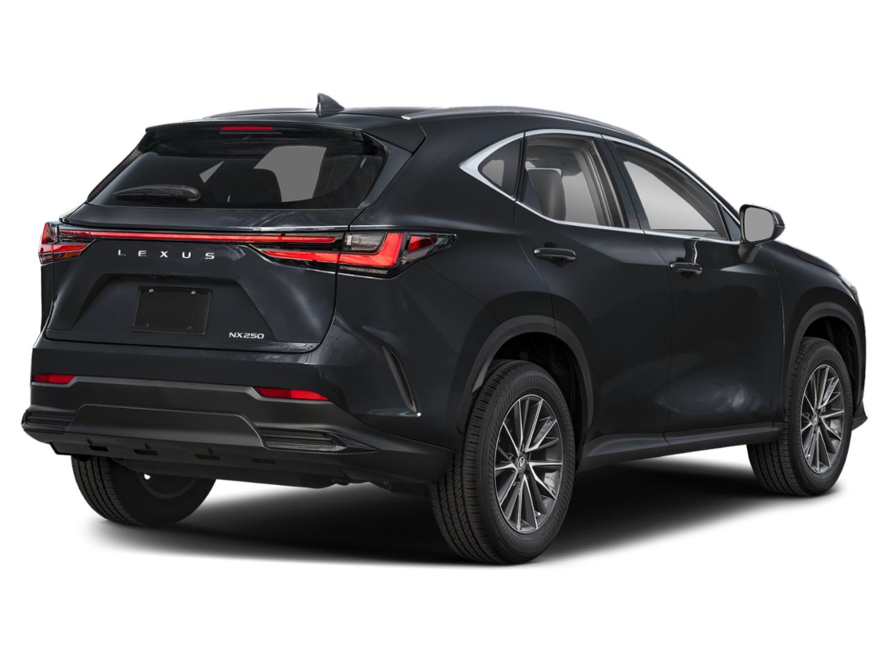 2025 Lexus NX 250 Vehicle Photo in DALLAS, TX 75209