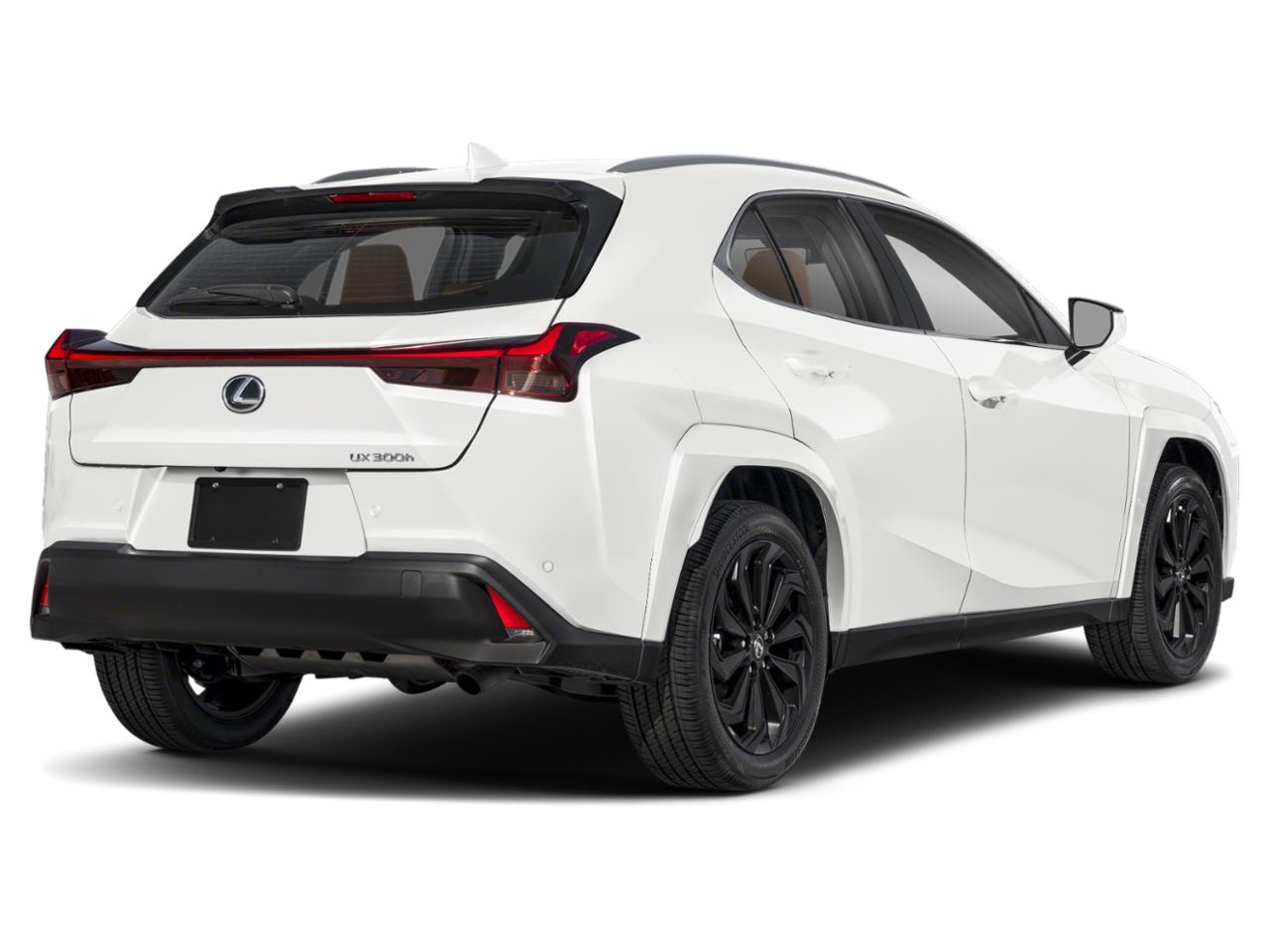 2025 Lexus UX 300h Vehicle Photo in DALLAS, TX 75209