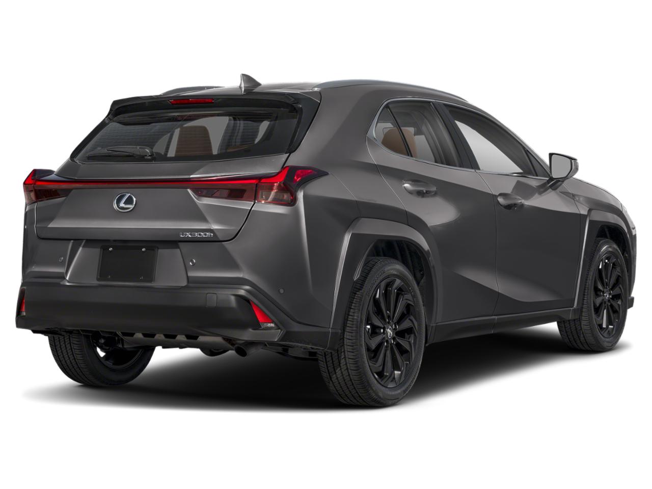 2025 Lexus UX 300h Vehicle Photo in DALLAS, TX 75209