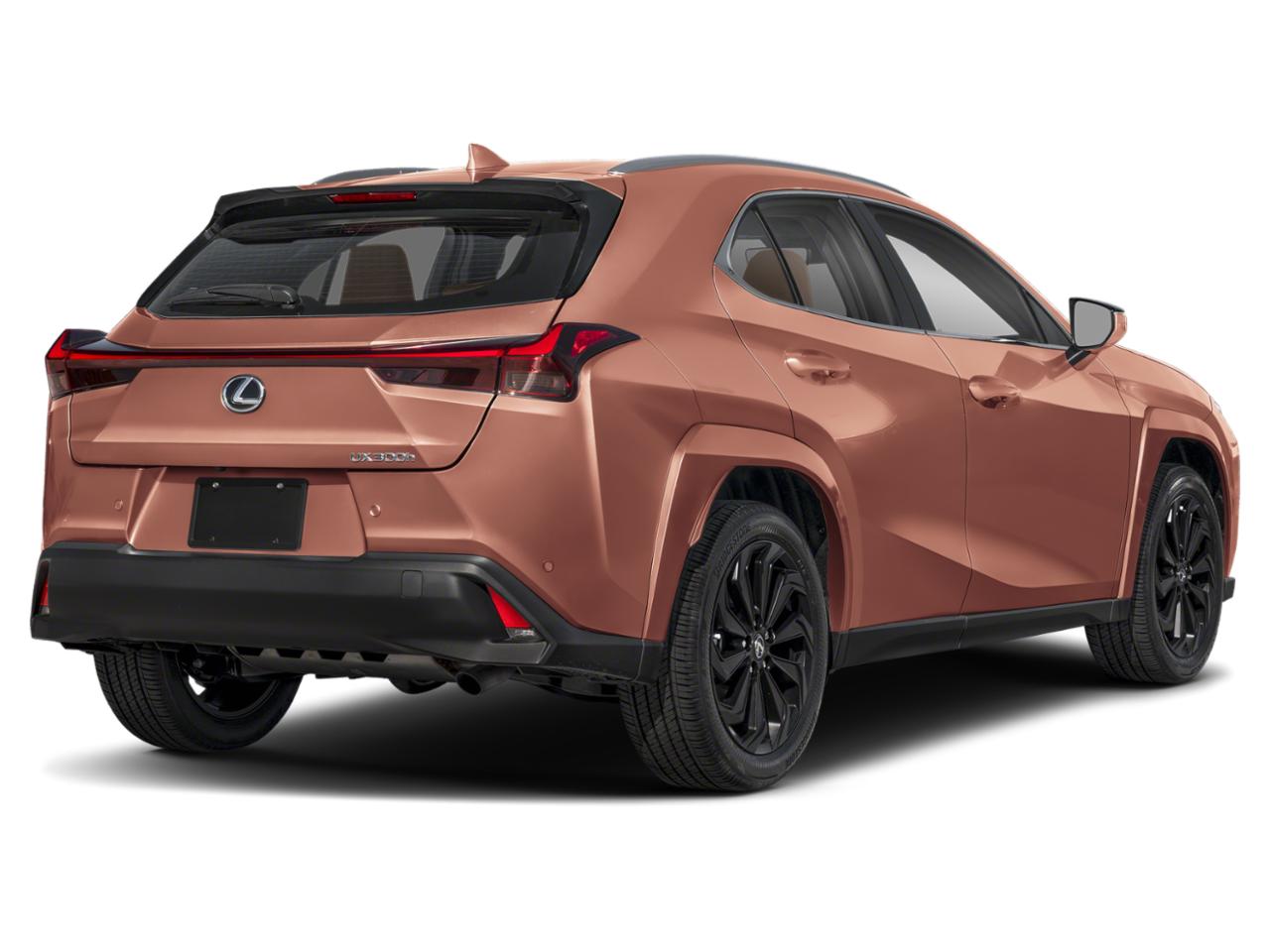 2025 Lexus UX 300h Vehicle Photo in West Palm Beach, FL 33417