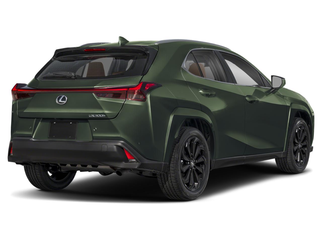 2025 Lexus UX 300h Vehicle Photo in DALLAS, TX 75209