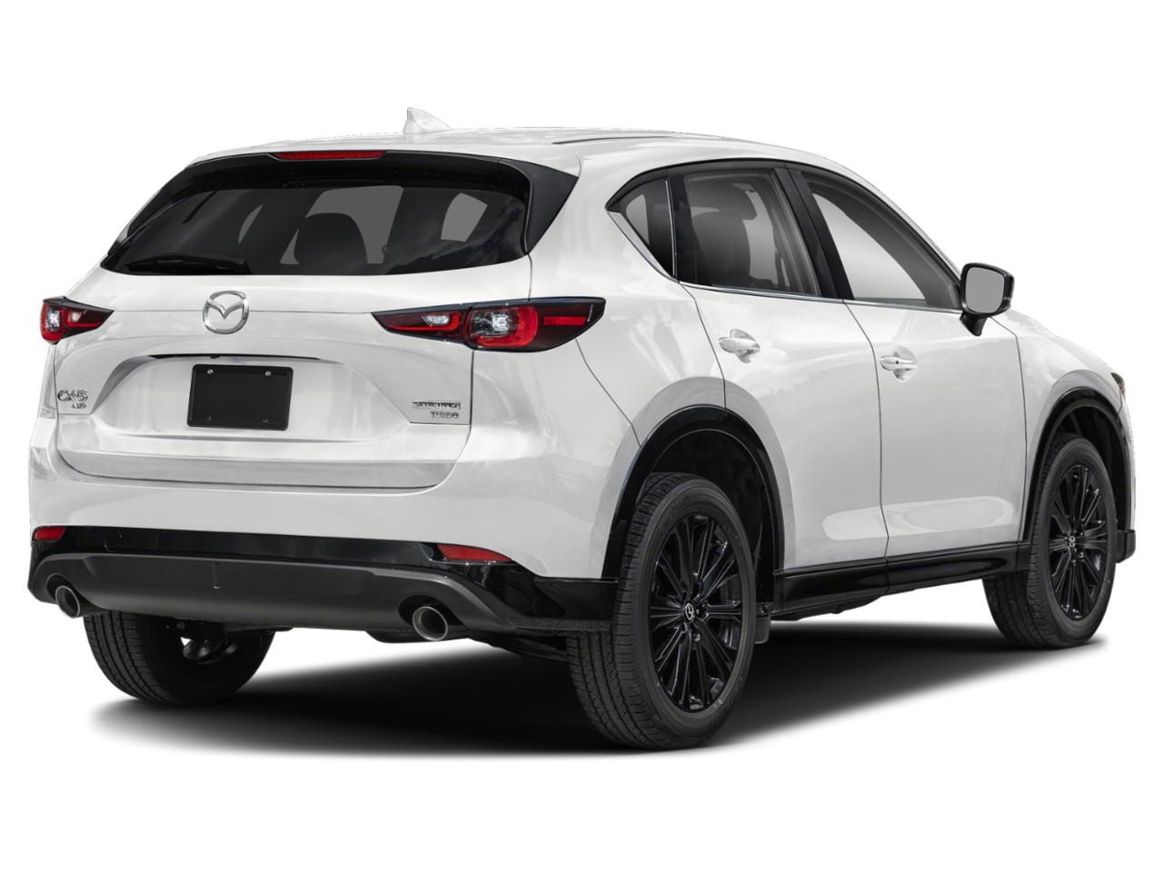 2025 Mazda CX-5 Vehicle Photo in Green Bay, WI 54304