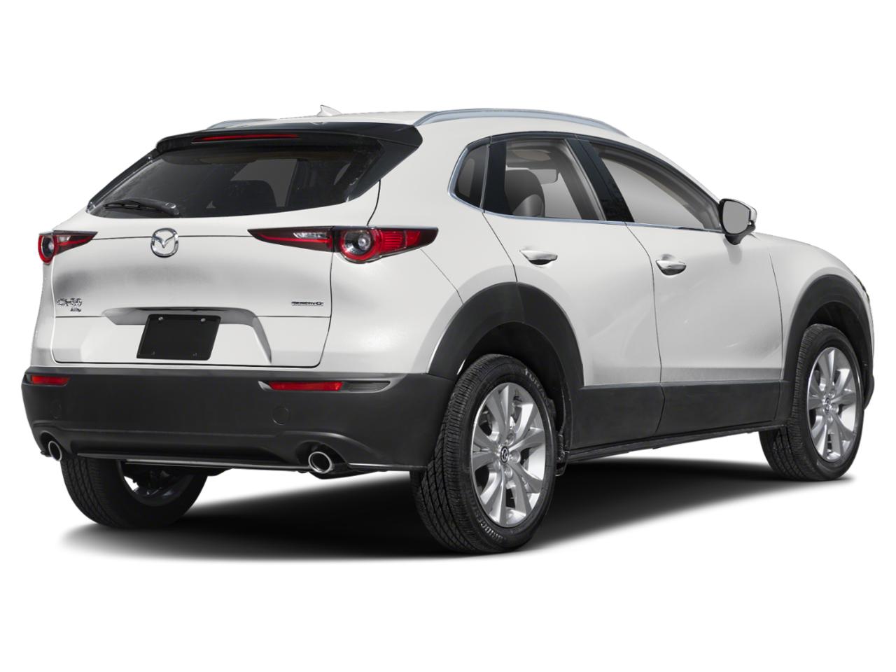 2025 Mazda CX-30 Vehicle Photo in Green Bay, WI 54304