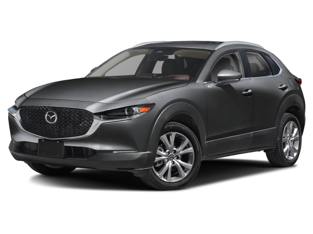 2025 Mazda CX-30 Vehicle Photo in Green Bay, WI 54304