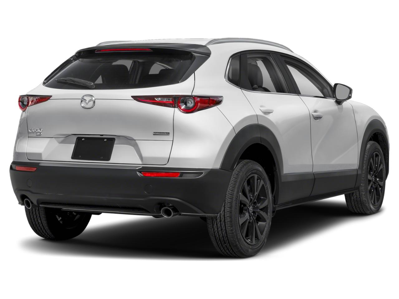 2025 Mazda CX-30 Vehicle Photo in Green Bay, WI 54304