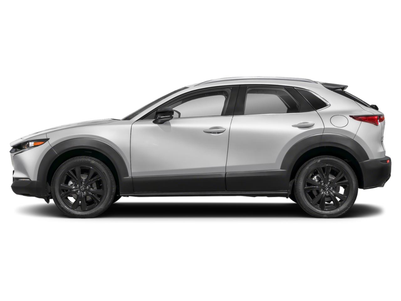 2025 Mazda CX-30 Vehicle Photo in Green Bay, WI 54304