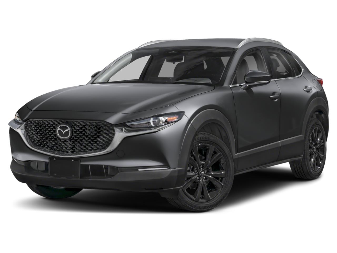 2025 Mazda CX-30 Vehicle Photo in Appleton, WI 54913