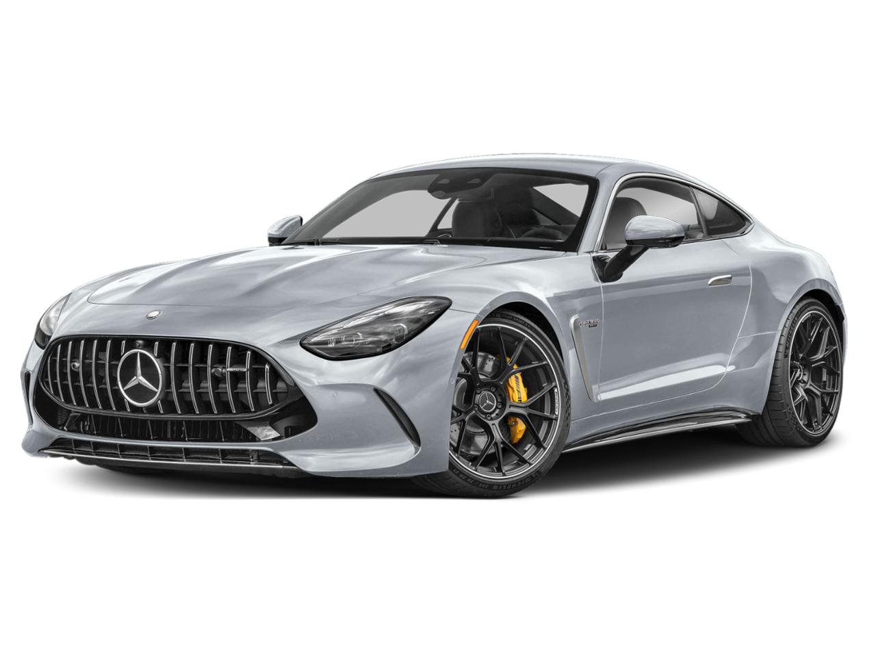 2025 Mercedes-Benz AMG GT Vehicle Photo in HOUSTON, TX 77079