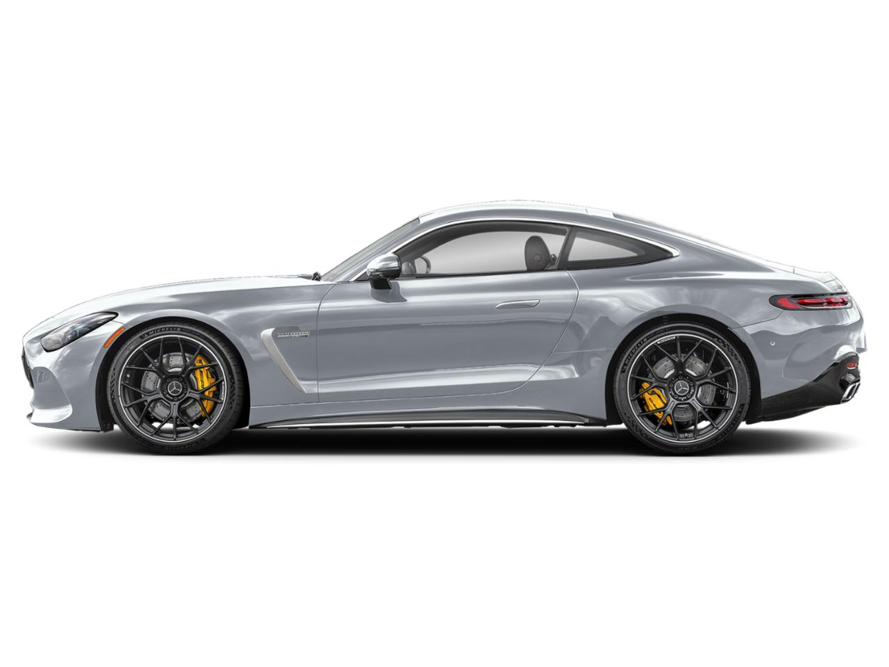 2025 Mercedes-Benz AMG GT Vehicle Photo in HOUSTON, TX 77079