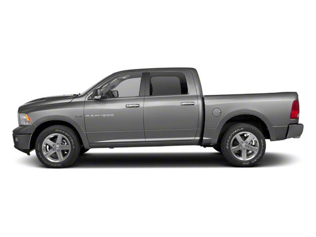 2010 Dodge RAM 1500 Vehicle Photo in ALBERTVILLE, AL 35950-0246