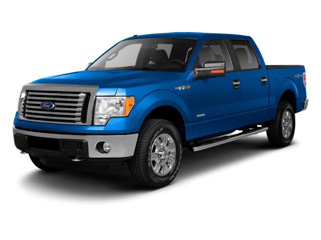 2010 Ford F-150 Vehicle Photo in Panama City, FL 32401